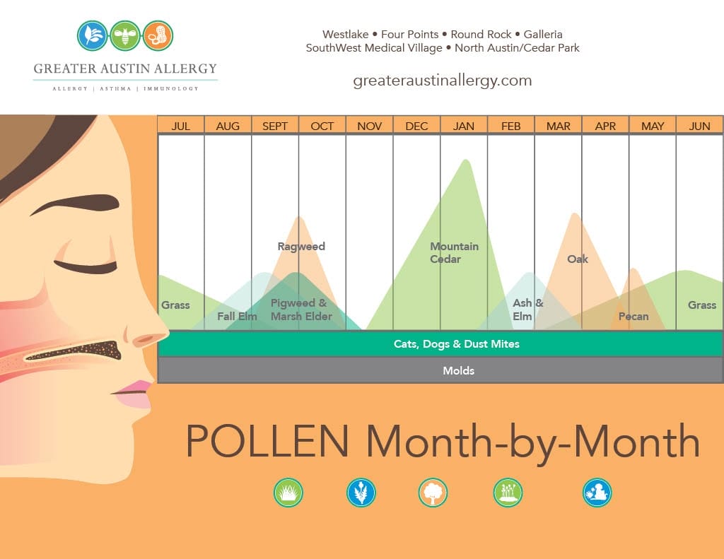 Greater Austin Allergy's monthly pollen infographic calendar showing allergen patterns across Central Texas